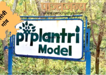 ग्रामीणों द्वारा लगाया गया जंगल