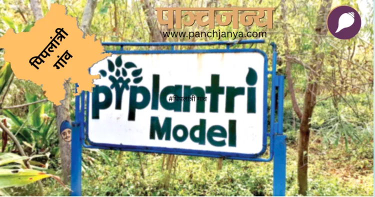 ग्रामीणों द्वारा लगाया गया जंगल