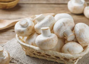 Mushroom Benefits