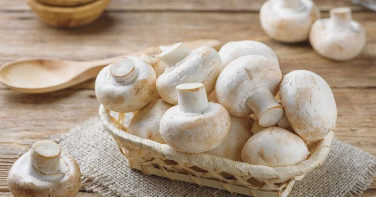 Mushroom Benefits