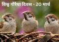 World Sparrow Day