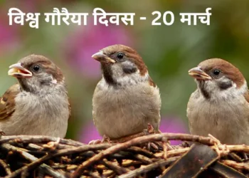 World Sparrow Day