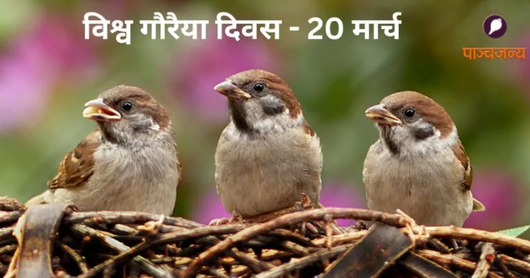 World Sparrow Day