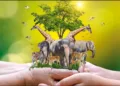 World Wildlife day