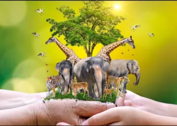 World Wildlife day