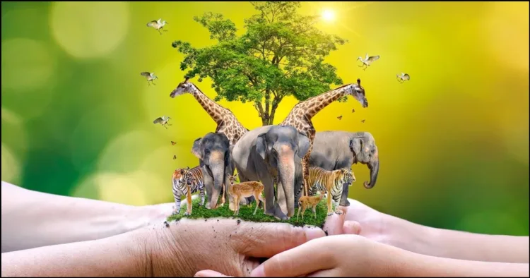 World Wildlife day