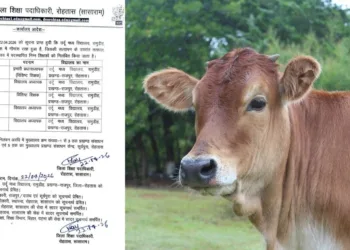 रोहतास के उर्दू विद्यालय में गोमांस मिलने का आरोप