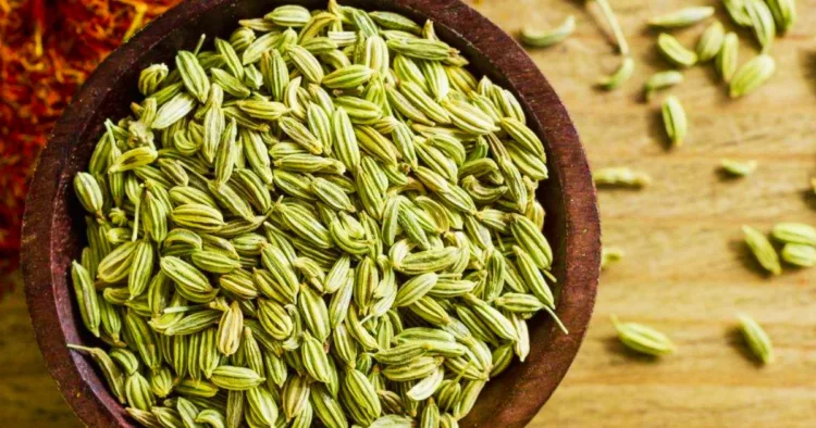 fennel benefits