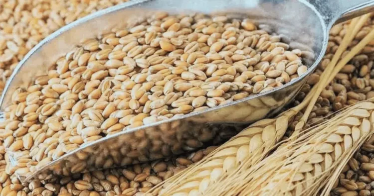 किसानों को बड़ी राहत