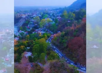 प्रतीकात्मक तस्वीर