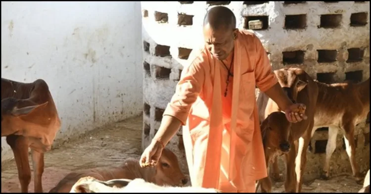 Yogi Aadityanath Cow saving model
