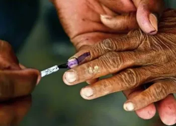 Haryana Local Body Election BJP won