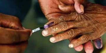 Haryana Local Body Election BJP won