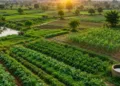 भारतीय कृषि परंपरा