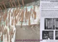 ASI scientific investigation ancient swords Tehri Uttarakhand