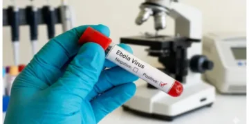 Ebola outbreaks india Africa summit cancelled