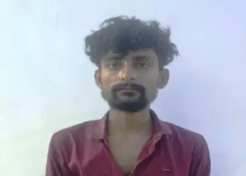 शीबू अन्सारी