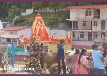 nainital ssb deployment kaichi dham-highcourt security drone monitoring 2026