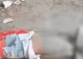Rajasthan 11 year old boy sacrificed by Sheru khan