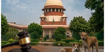Supreme Court Cast Census