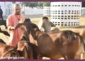UP Government master plan for cow protection and employment through Krishi Sakhi