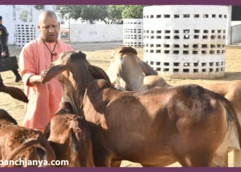 UP Government master plan for cow protection and employment through Krishi Sakhi