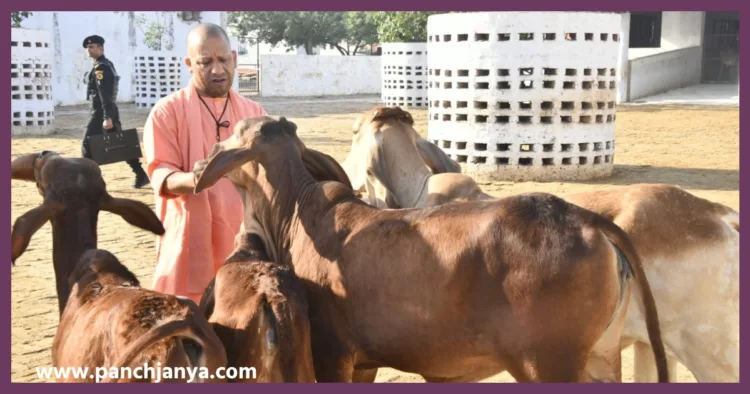UP Government master plan for cow protection and employment through Krishi Sakhi