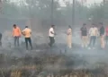 वसई में खाली प्लॉट से मिला नरकंकाल