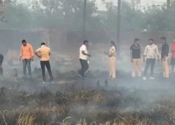 वसई में खाली प्लॉट से मिला नरकंकाल