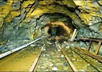 Gold Mines Found in Andhra Pradesh