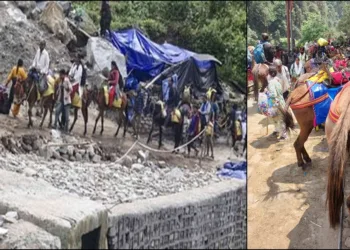 kedarnath Yatra Leed