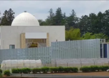 Pakistan build mosque in japan