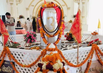 Parad Shivling Haridwar