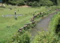 pithoragarh yakshavati river rejuvenation plantation drive 130 ta eco kumaon