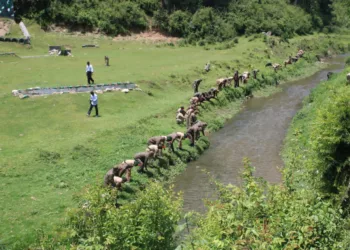 pithoragarh yakshavati river rejuvenation plantation drive 130 ta eco kumaon