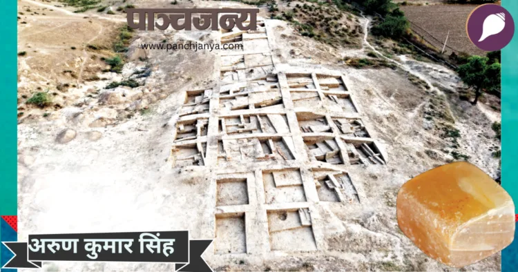 राखीगढ़ी का एक विस्तृत खुदाई स्थल एवं पत्थर की एक कीमती वस्तु