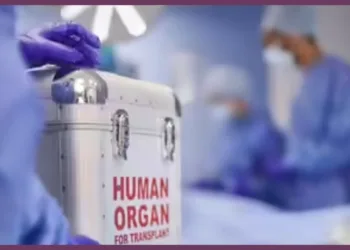 SGPGI Lucknow Doctors Organ Donation Success Story