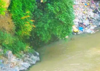 प्रतीकात्मक तस्वीर