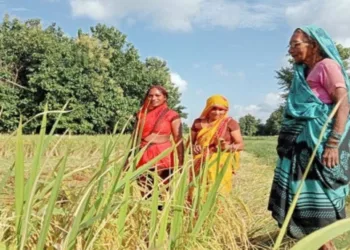 प्रतीकात्मक तस्वीर