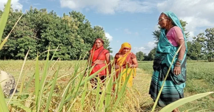 प्रतीकात्मक तस्वीर