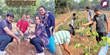 पौधारोपण करते कार्यकर्ता