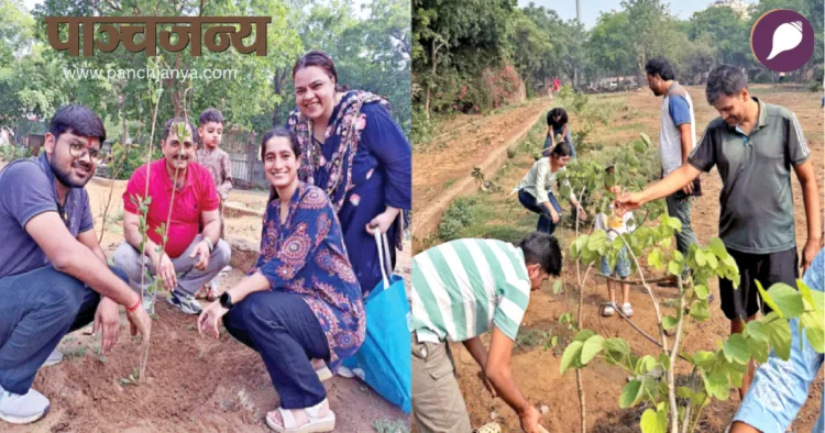 पौधारोपण करते कार्यकर्ता