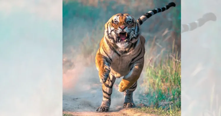 प्रतीकात्मक तस्वीर