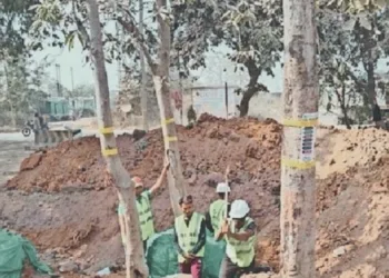 प्रतीकात्मक तस्वीर