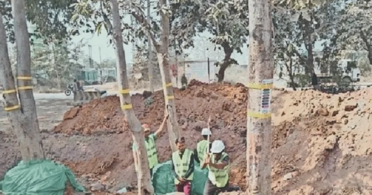 प्रतीकात्मक तस्वीर