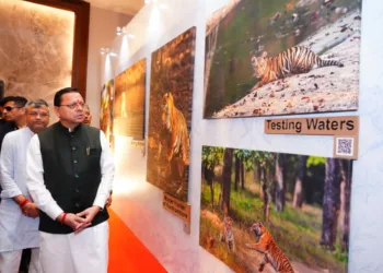 Uttarakhand Single Use Plastic Ban Global Tiger Day CM Pushkar Singh Dhami Panchjanya