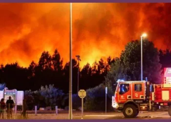 France Wildfire Fire Cloud Bordeaux Gironde Evacuation WW2 Shells Panchjanya