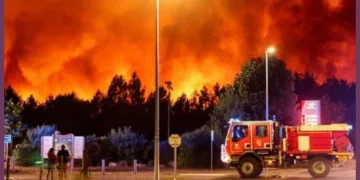 France Wildfire Fire Cloud Bordeaux Gironde Evacuation WW2 Shells Panchjanya
