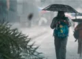 MP Weather