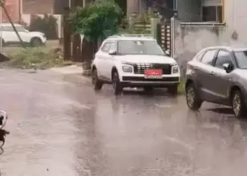 MP Weather